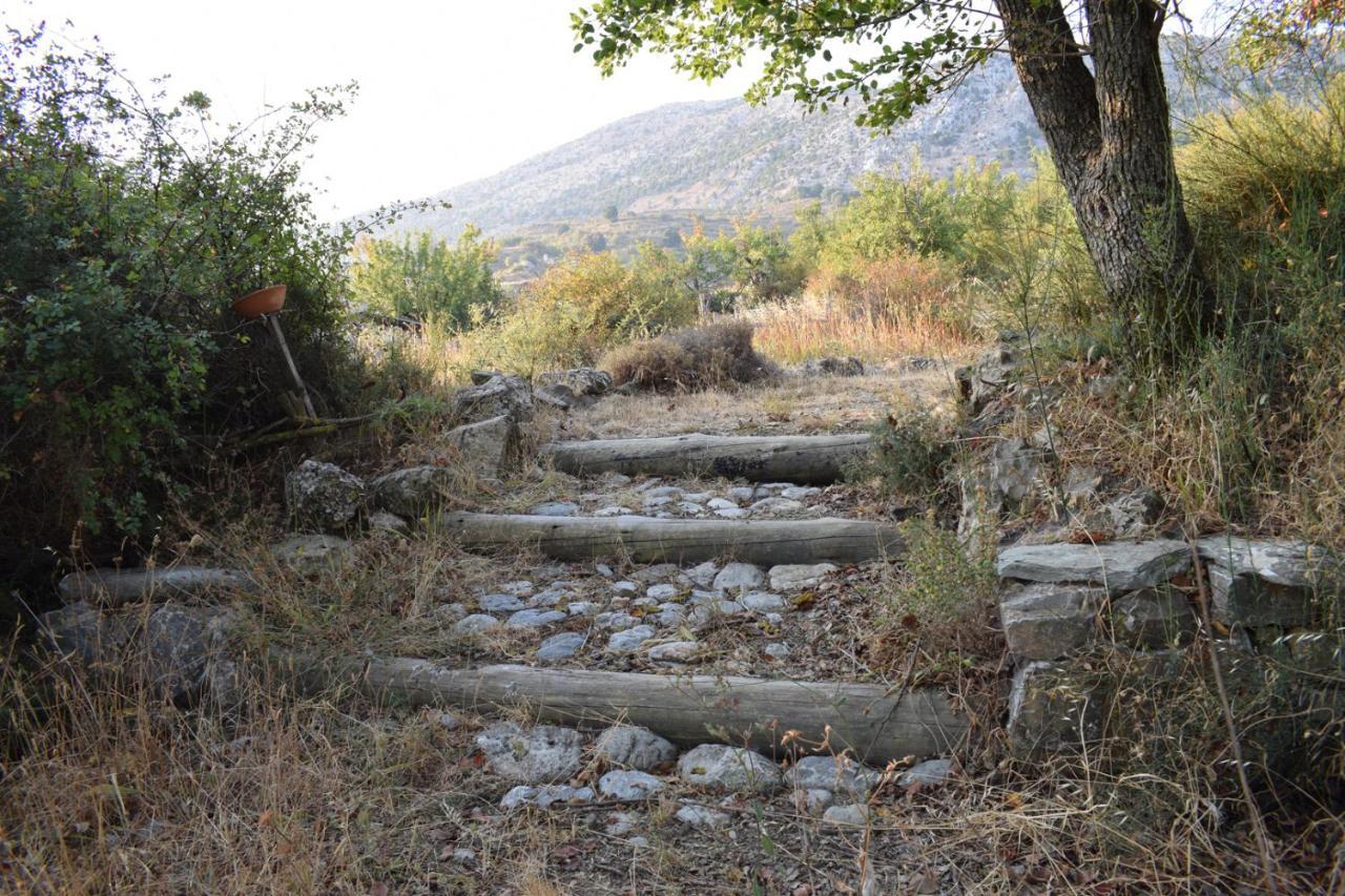 Lasinthos Eco Park Agios Georgios  Buitenkant foto