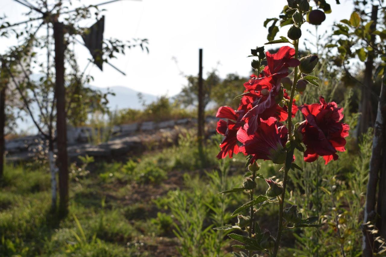 Lasinthos Eco Park Agios Georgios  Buitenkant foto