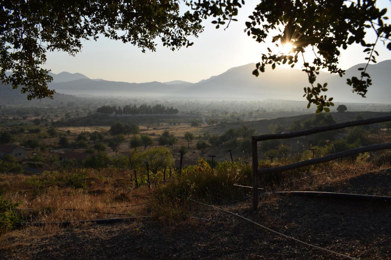 Lasinthos Eco Park Agios Georgios  Buitenkant foto