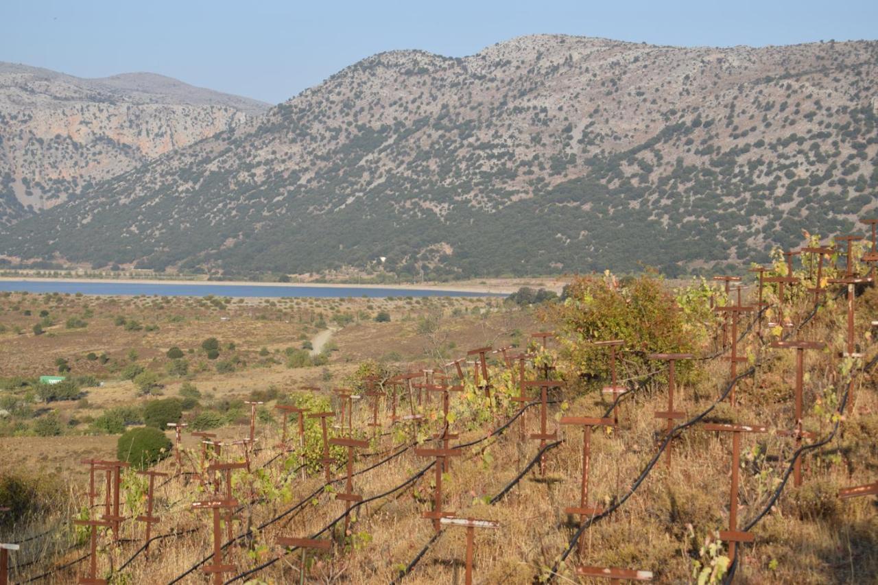 Lasinthos Eco Park Agios Georgios  Buitenkant foto